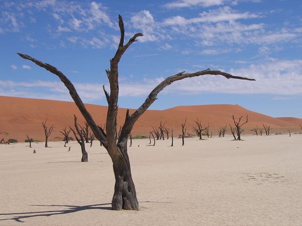 Dead Vlei - ein Highlight einer Namibia Reise mit Genuss Touren