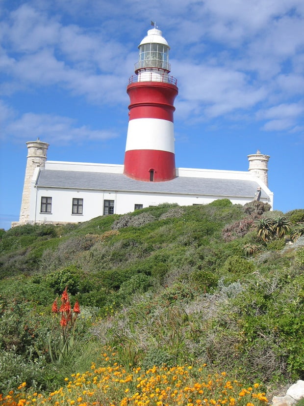 Fynbos im Agulhas Nationalpark