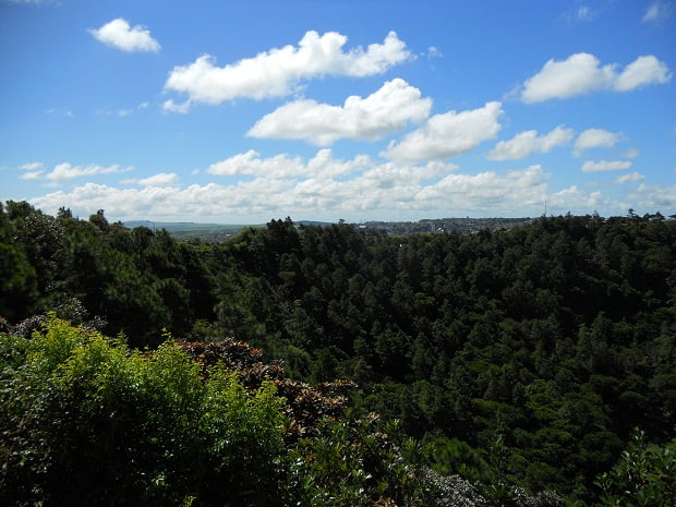 Black River Gorges (1)