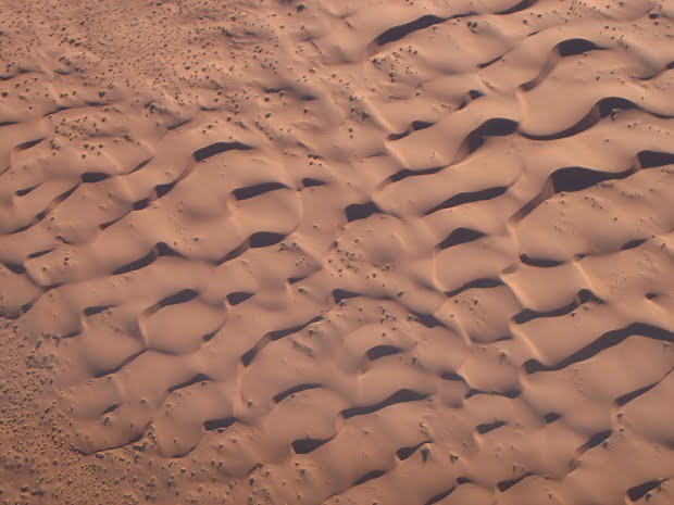 Die roten Dünen der Namib Wüste
