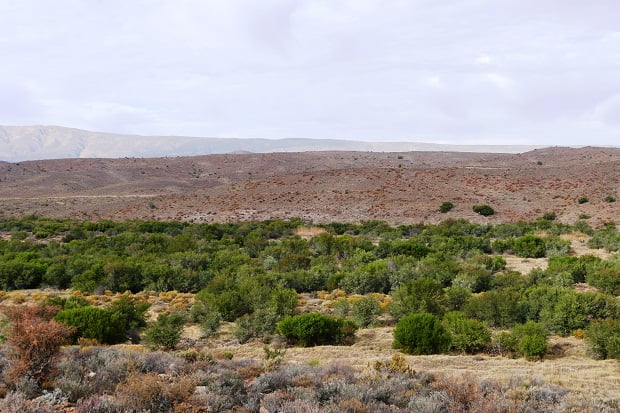 Karoo Landschaft