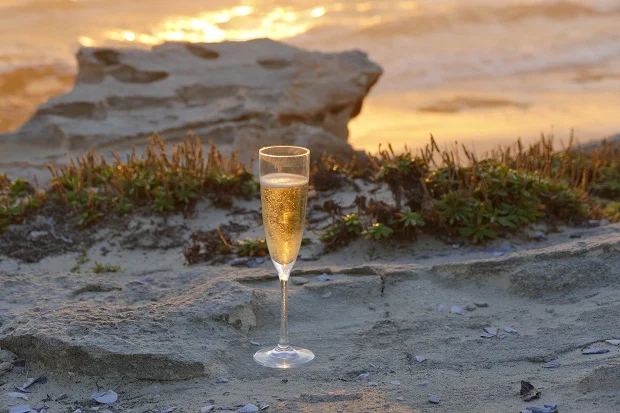 Sundowner von Grootbos organisiert