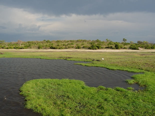 Regen in der Green Season in Botswana