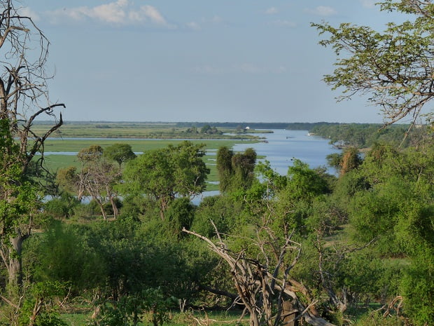 Chobe Nationalpark in der Green Season
