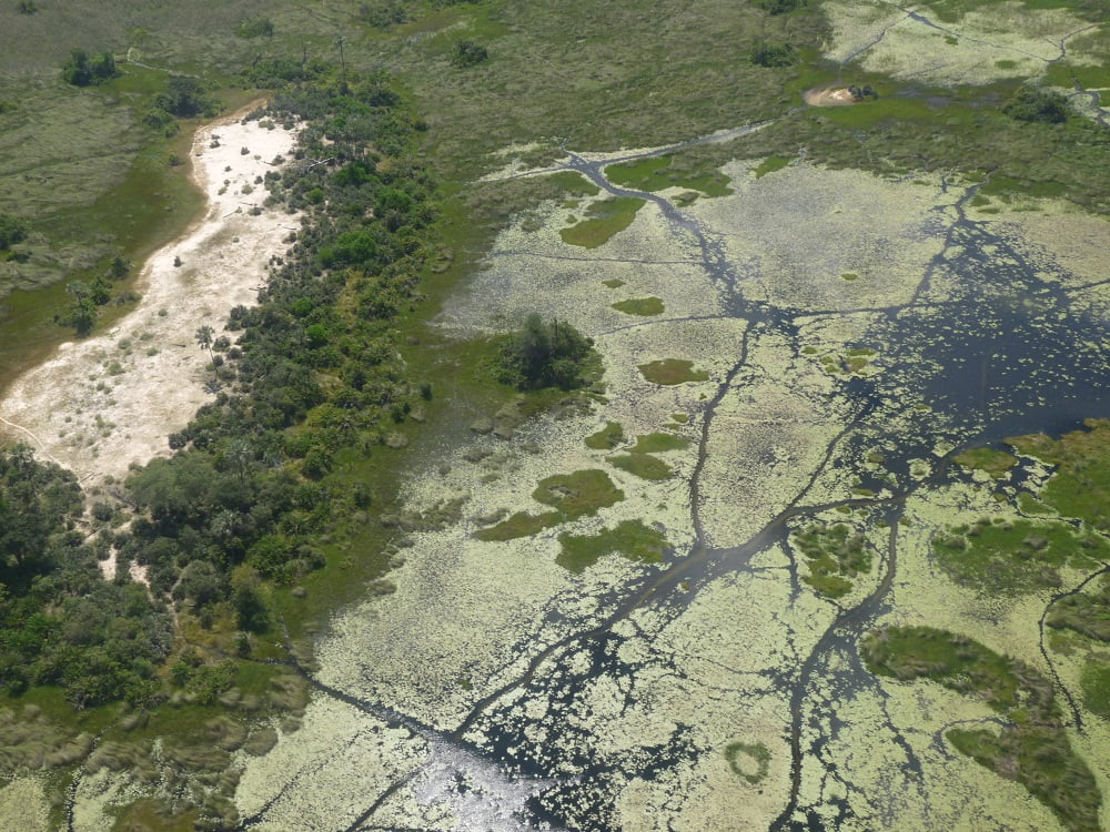 Flug mit dem Kleinflugzeug über das Okavango Delta