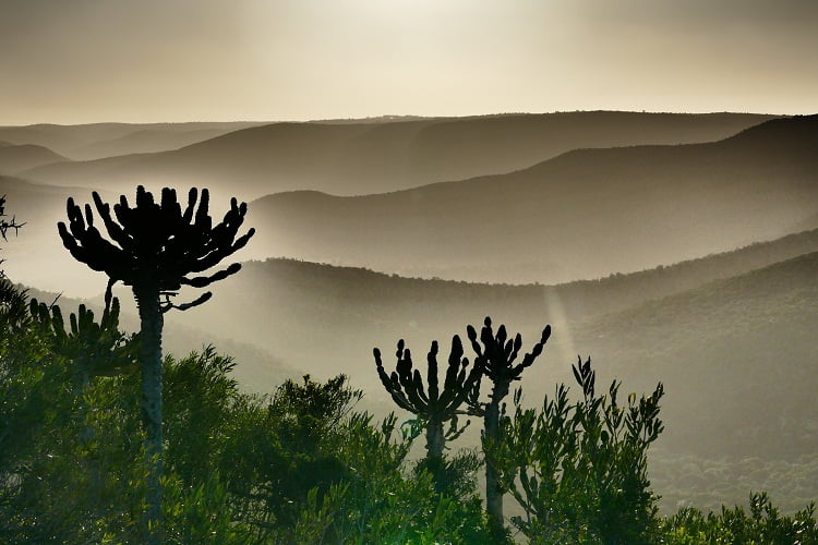 Sonnenuntergang im Kariega Game Reserve