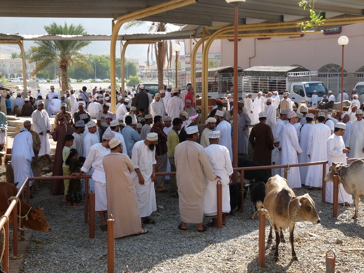 Viehmarkt in Nizwa