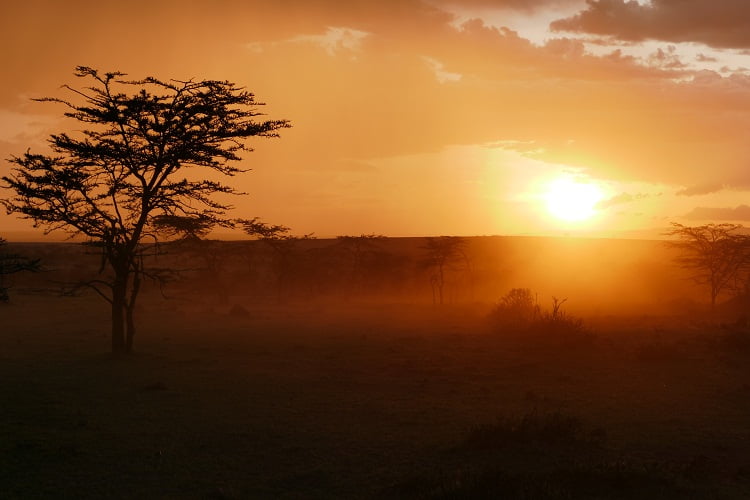 Sonnenuntergang in der Masai Mara