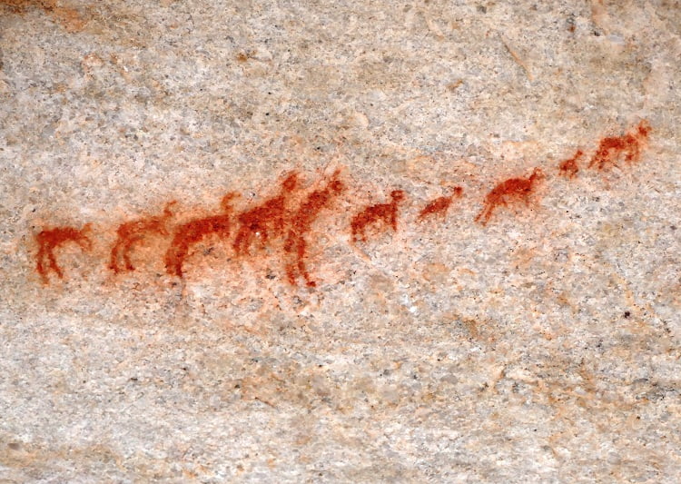 Felsmalereien in Bushmans Kloof