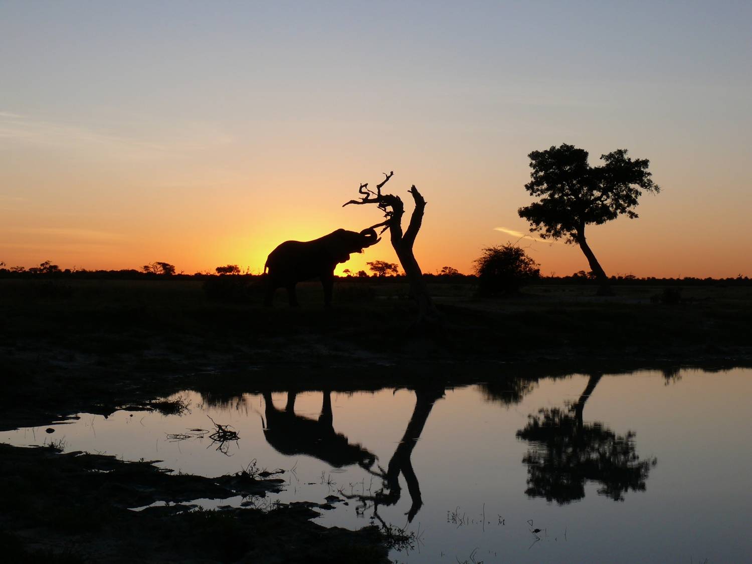 Einzigartige Landschaften in Botswana