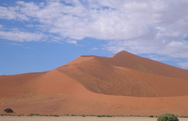 Big Daddy im Sossusvlei