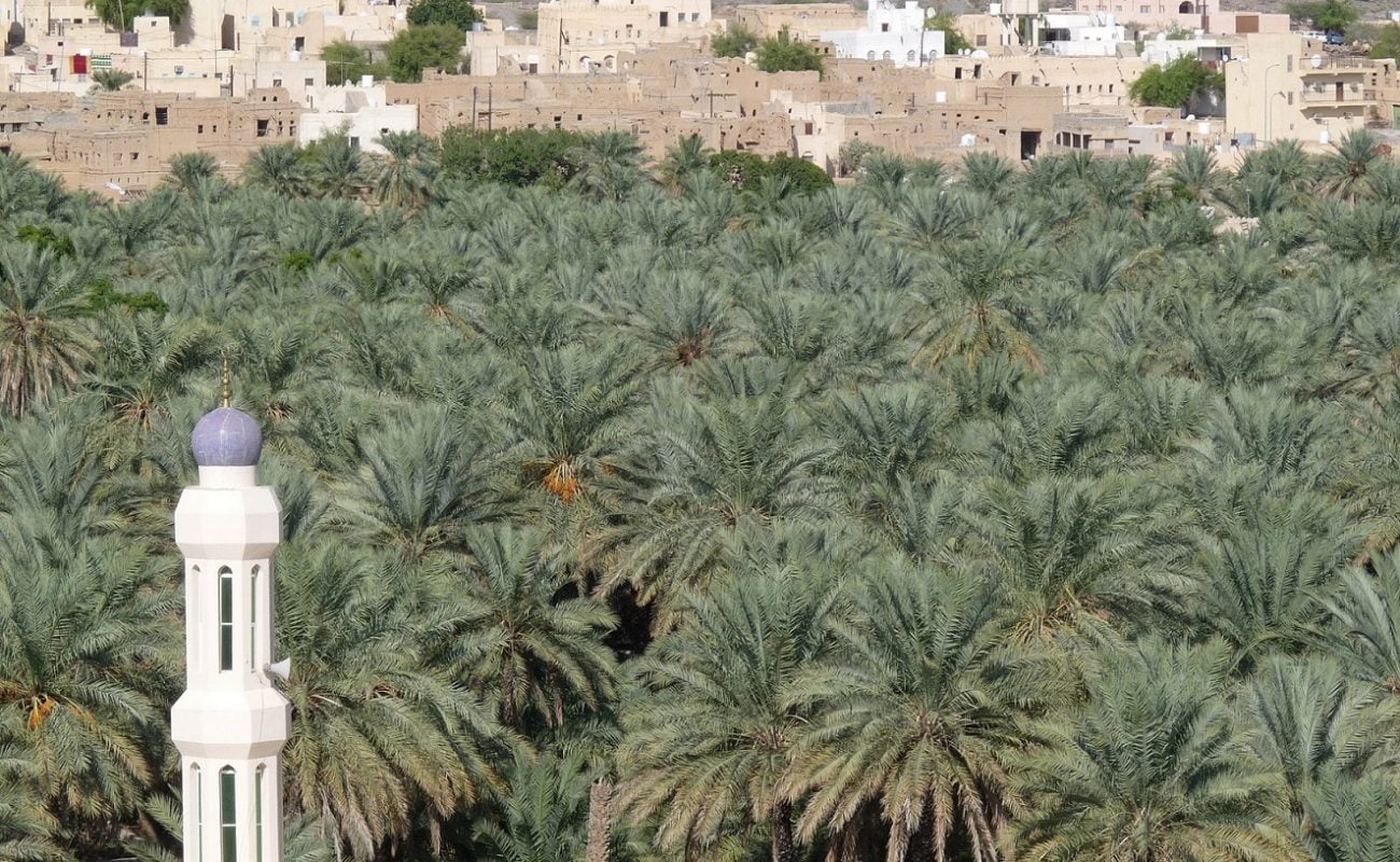 Der Oman hat viele grüne Oasen