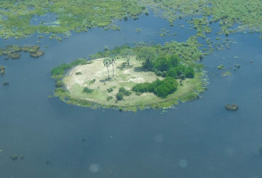 Palmeninsel im Okavango Delta