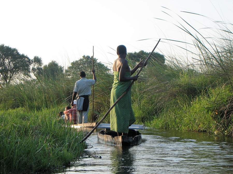 Im Mokoro durch die Schilfkanäle des Okavango Deltas