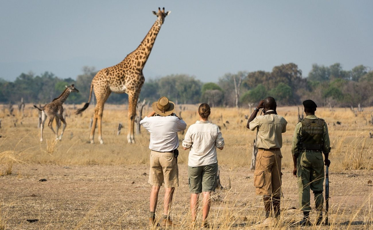 Robin Pope gehört zu den Erfindern der Walking Safari