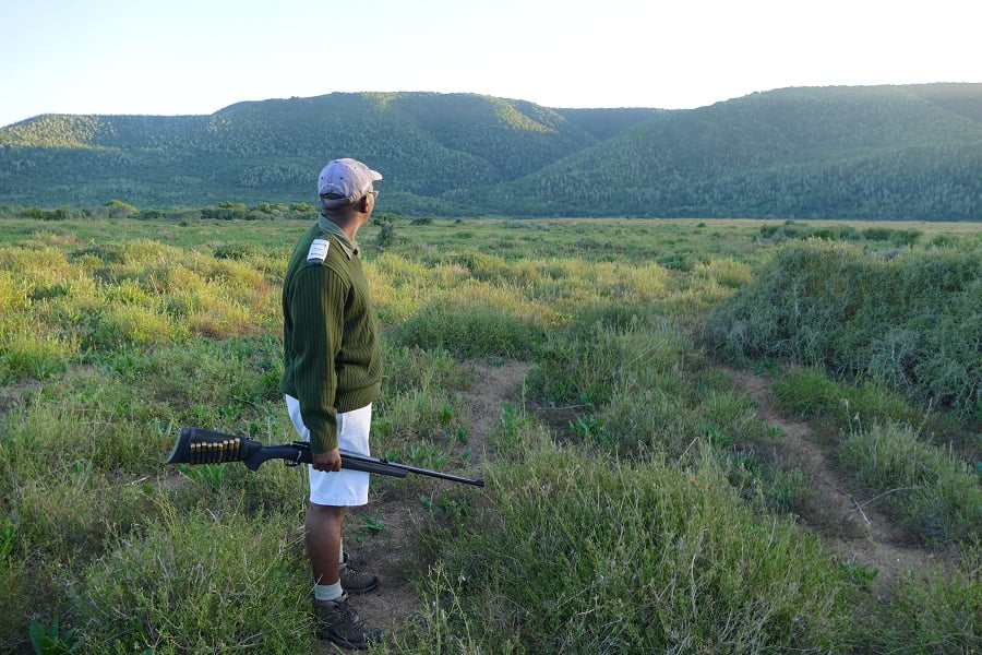 Walking Safari mit Guide im Kariega Game Reserve