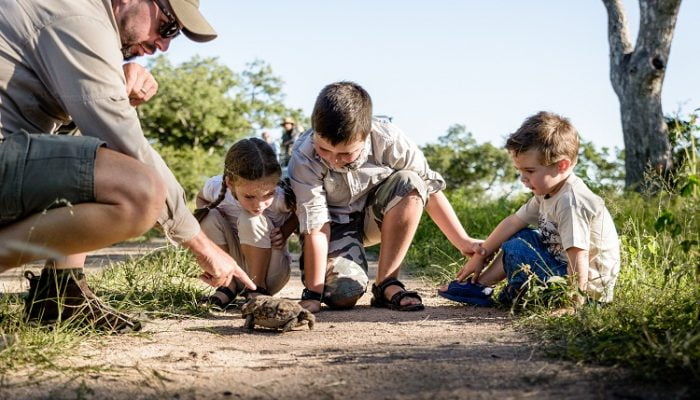 Familiensafari in Südafrika