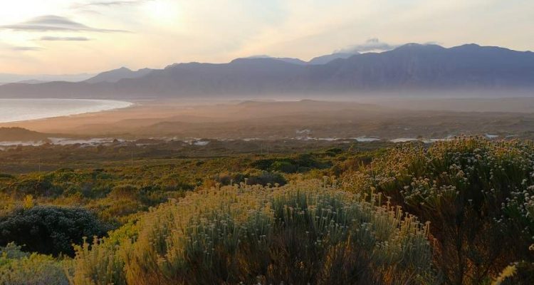 DIe schönsten Strände der Kapprovinz in Südafrika