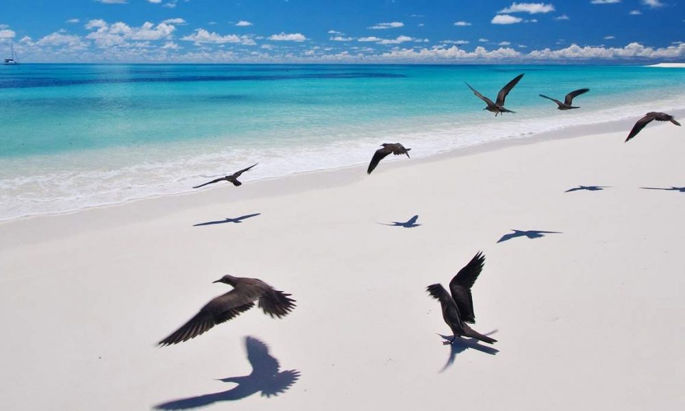 Bird Island Lodge Seychellen