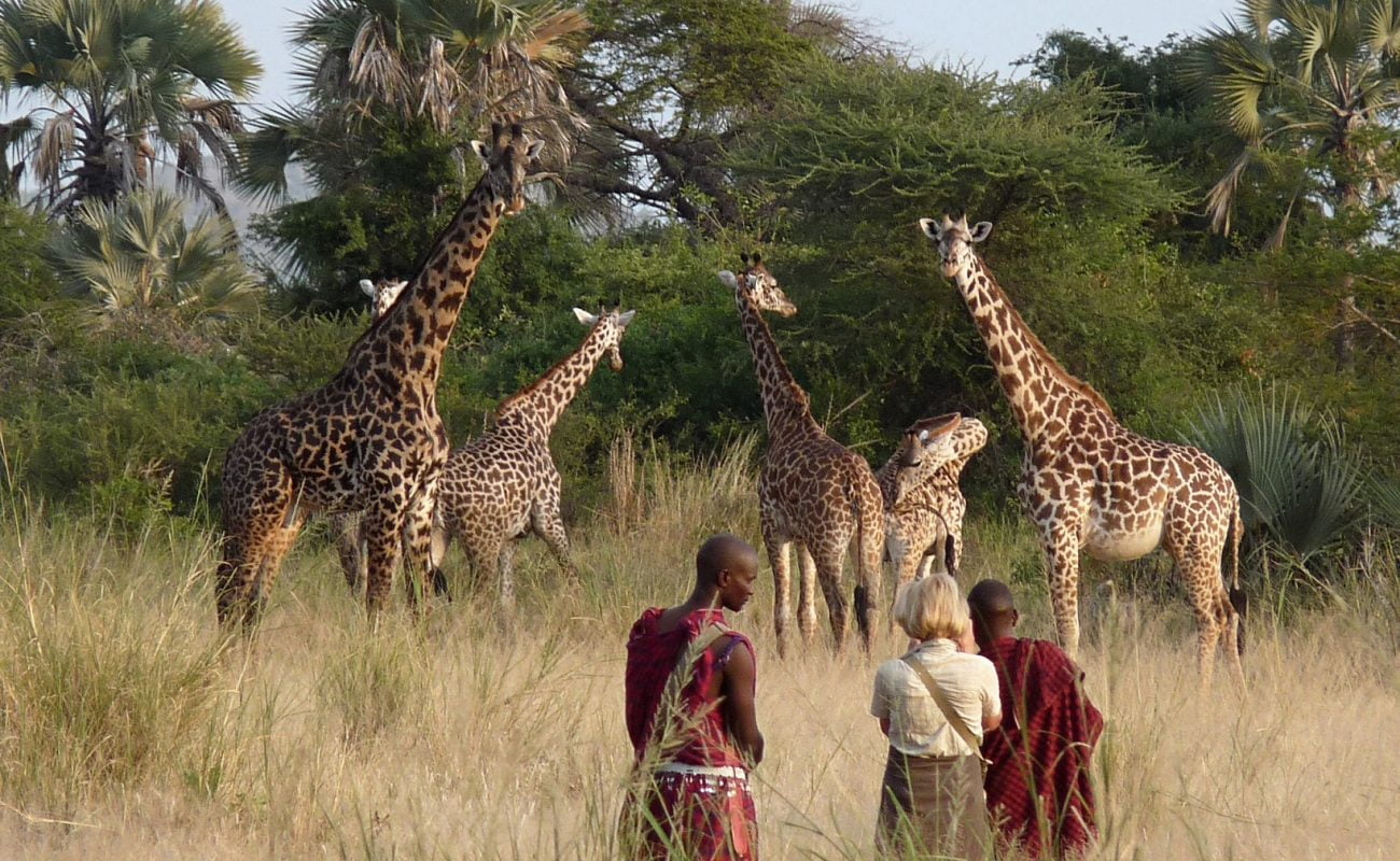 Slow Safari - Pirschwanderung in Tansania in Chem Chem