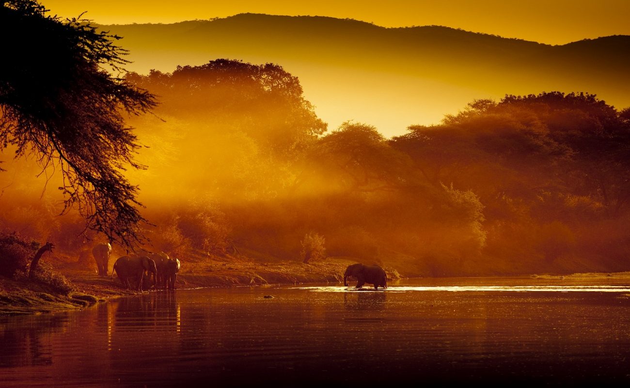 Buchen Sie das Luxuscamp Chongwe im Lower Zambezi mit Genuss Touren
