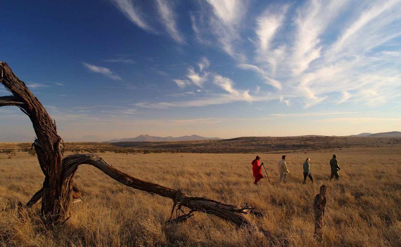 Bush Walk vom Lewa Safari Camp aus