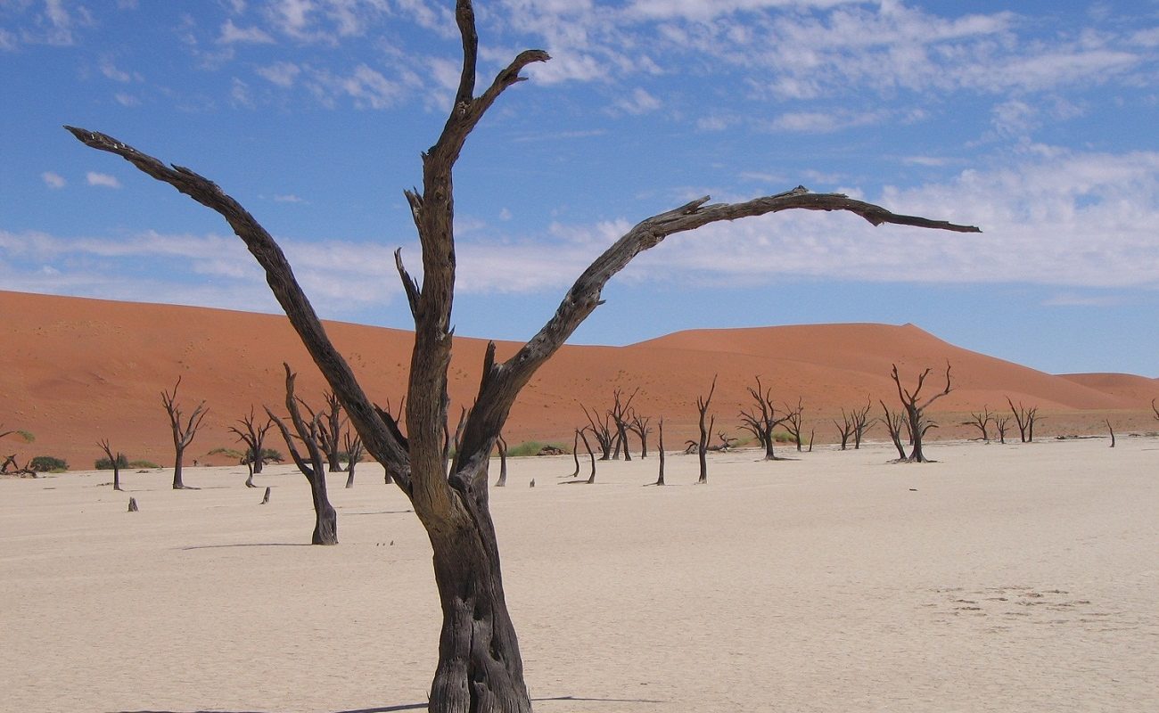 Dead Vlei in Namibia