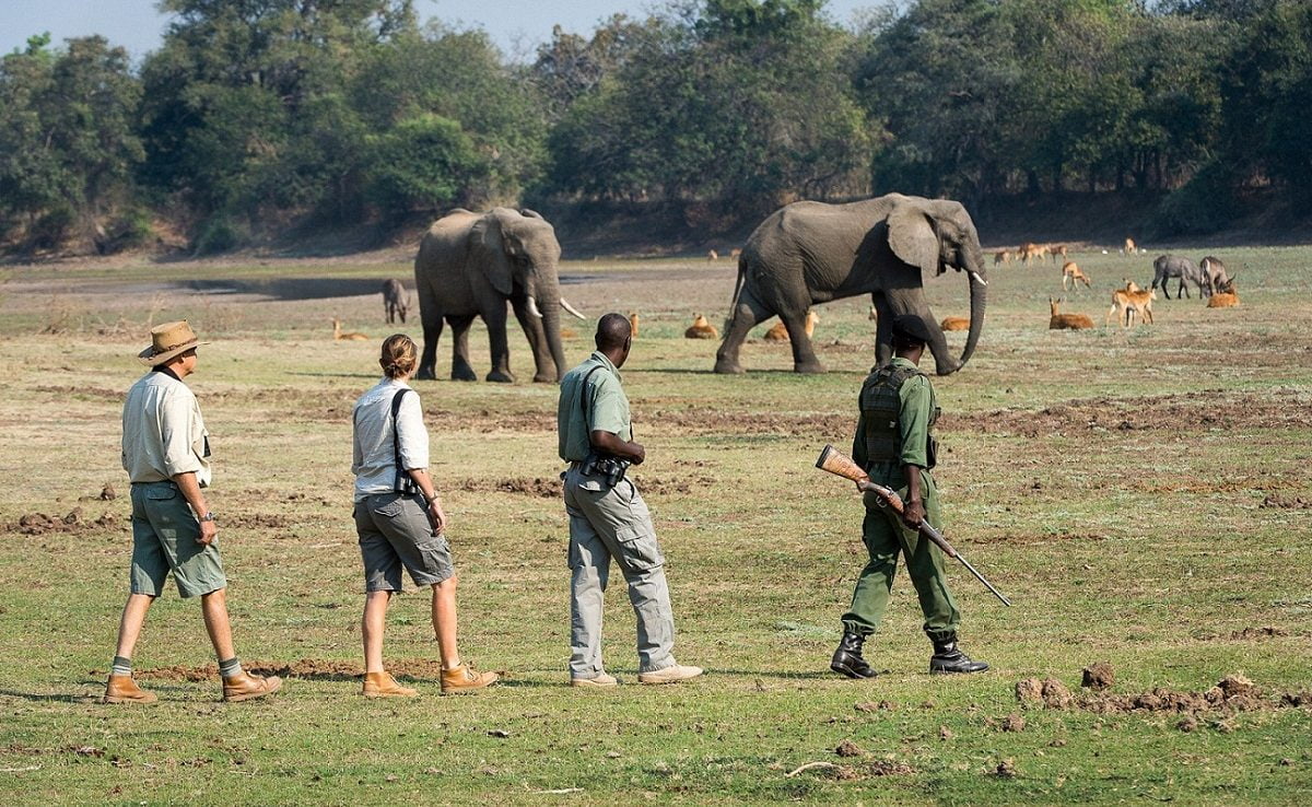 Walking Safaris - ganz typisch für Robin Pope in Sambia