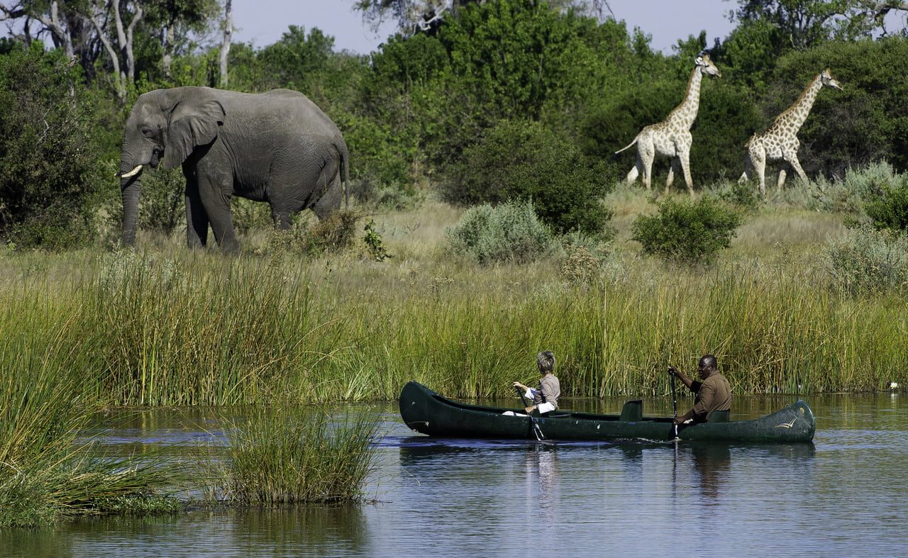 Tierbeobachtung vom Wasser aus am Savute 