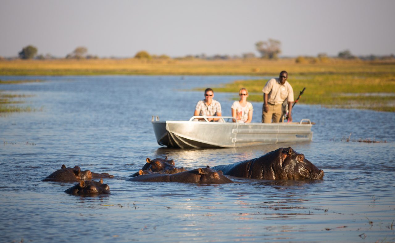 Saisonal sind auch Bootstouren in den Busanga Plains möglich