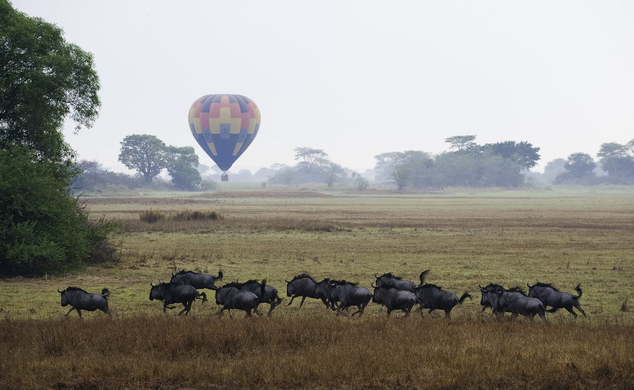 Höhepunkt ihrer Sambia Safari mit Genuss Touren - eine Fahrt mit dem Heißluftballon über die Busanga Plains