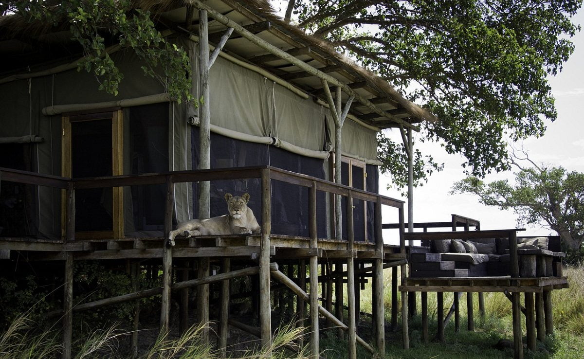 Viele Zelte von Wilderness Safaris stehen auf Stelzen