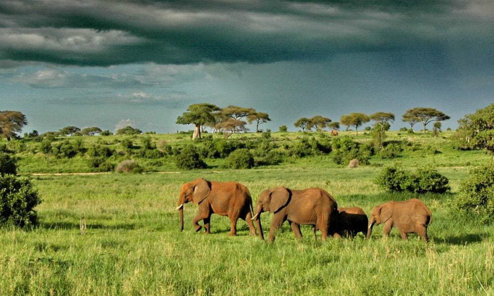 Luxussafari in Tansania mit Genuss Touren, Ihrem Afrika Spezialisten