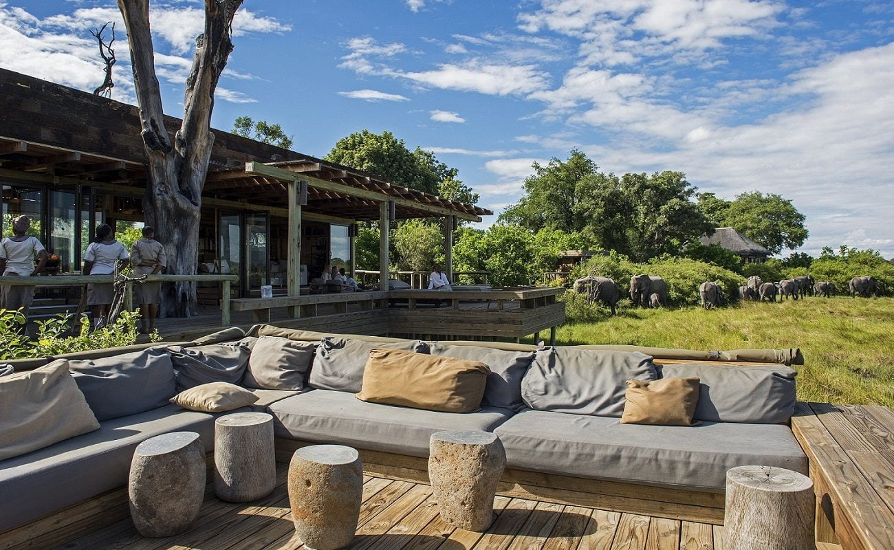 Elefanten kommen zum Haupthaus des Luxuscamps von Wilderness Safaris