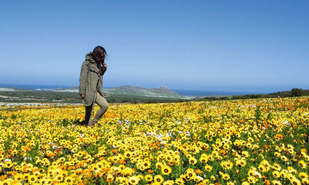 Westküste in Südafrika mit Genuss Touren erkunden