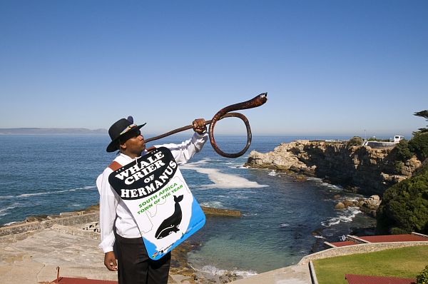 Hermanus Whale Crier