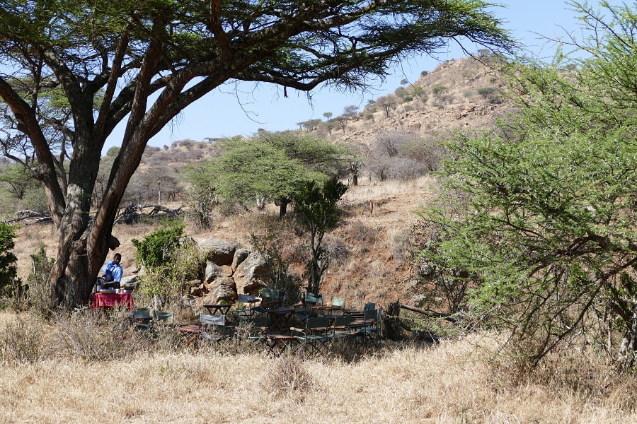 Bushbreakfast nach der Kamelsafari