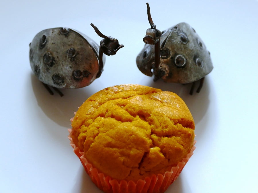 Süße Butternut-Muffins