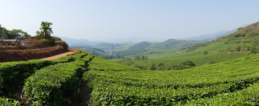 Honde Valley Zimbabwe