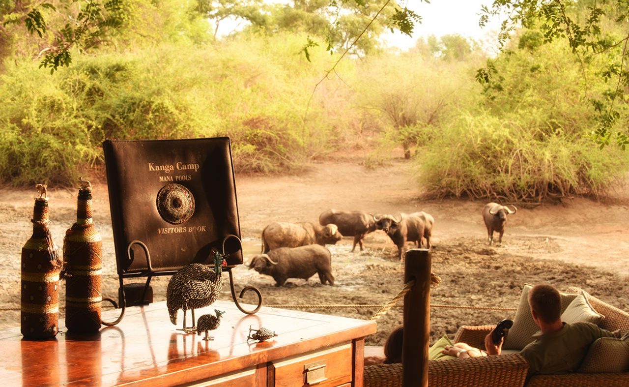 Armchchair Safari in Kanga