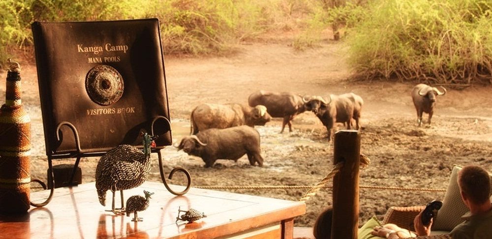 Kanga Camp Simbabwe Mana Pools