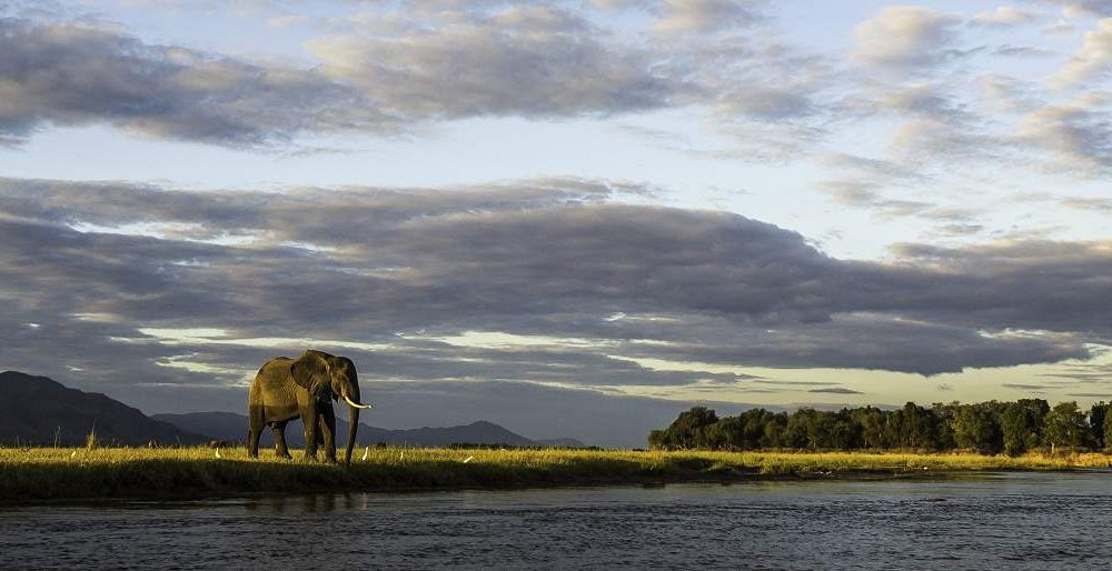 Mana Pools Zimbabwe