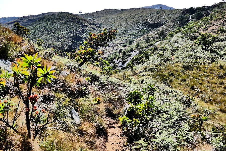 Mount Inyangani - Zimbabwes höchster Berg