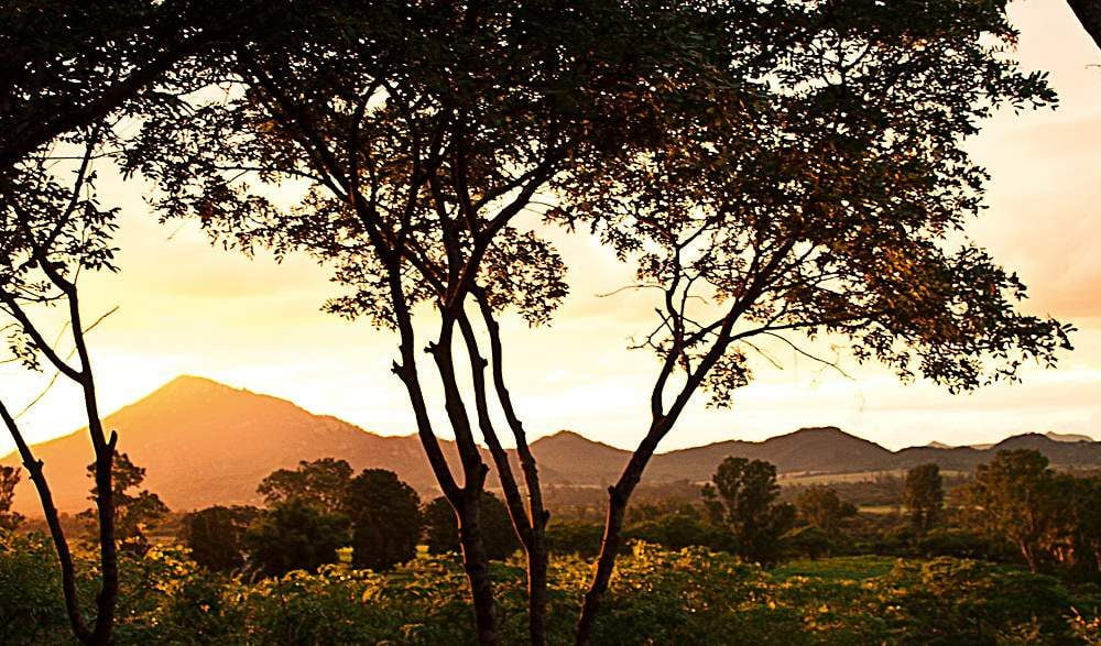 Musangano Lodge Eastern Highlands Zimbabwe