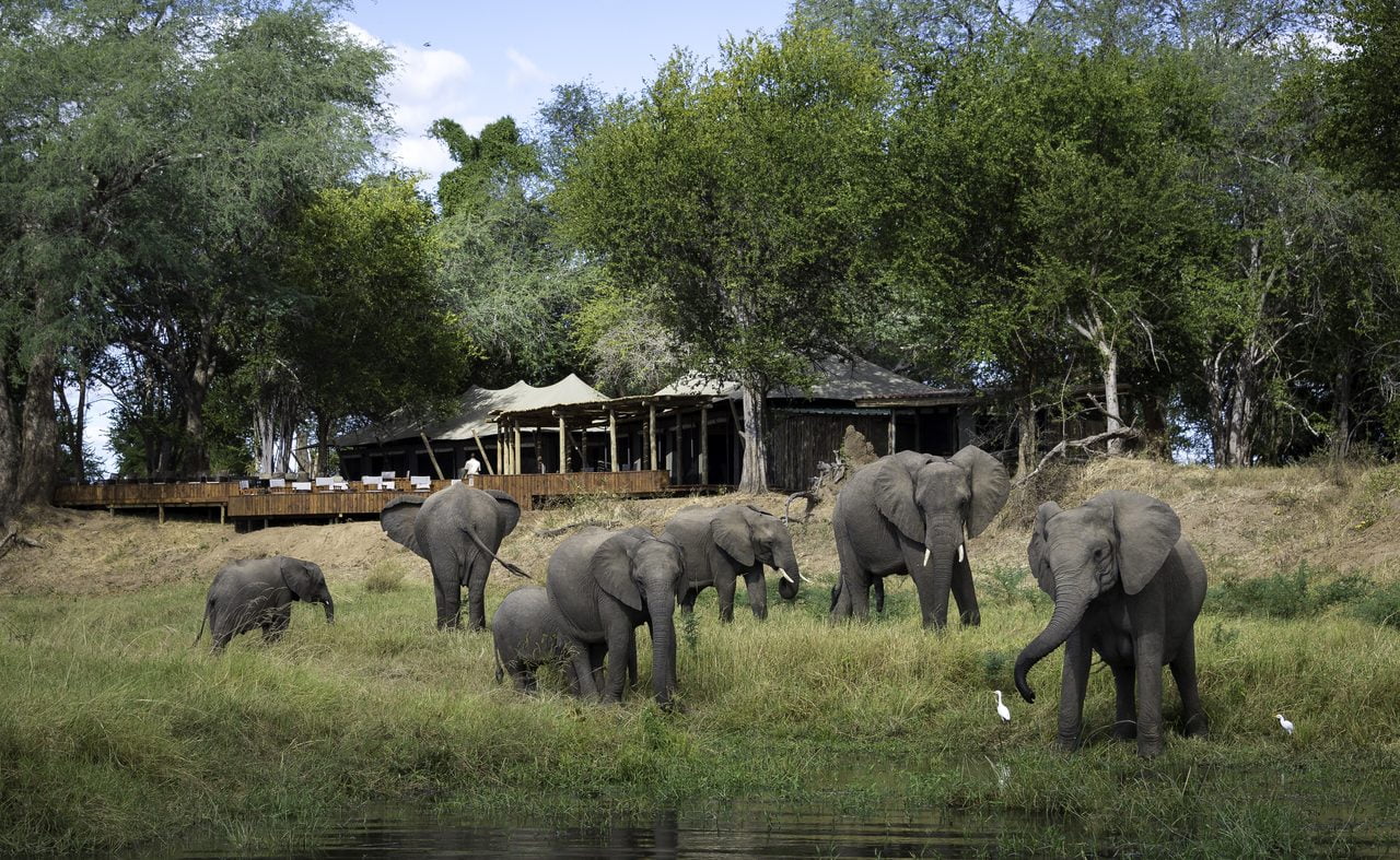 Pirschfahrt in Mana Pools von Ruckomechi aus