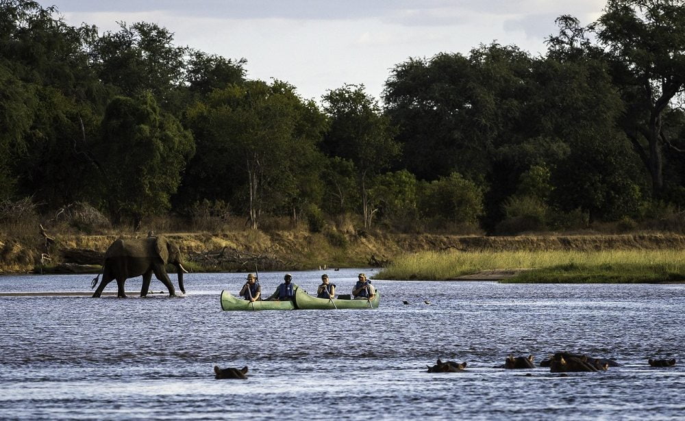 Kanu Safari in Mana Pools