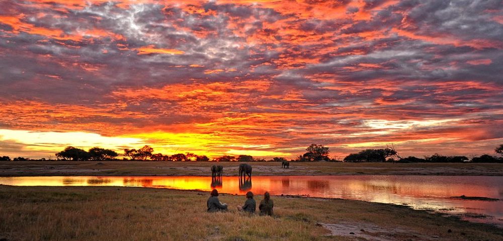 Somalisa Camp Hwange Nationalpark Simbabwe