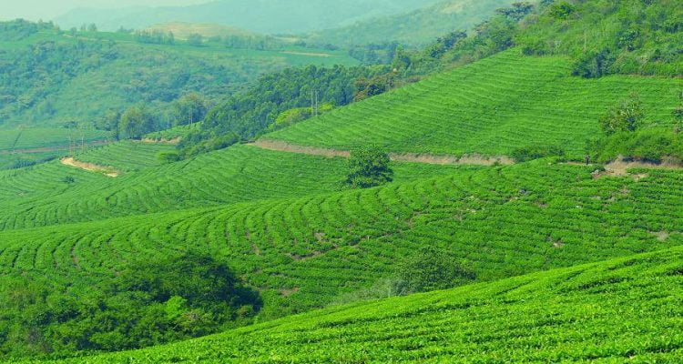 Eastern Highlands in Simbabwe