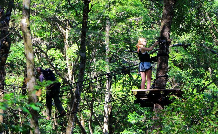 Tree Canopy Tour in den Eastern Highlands