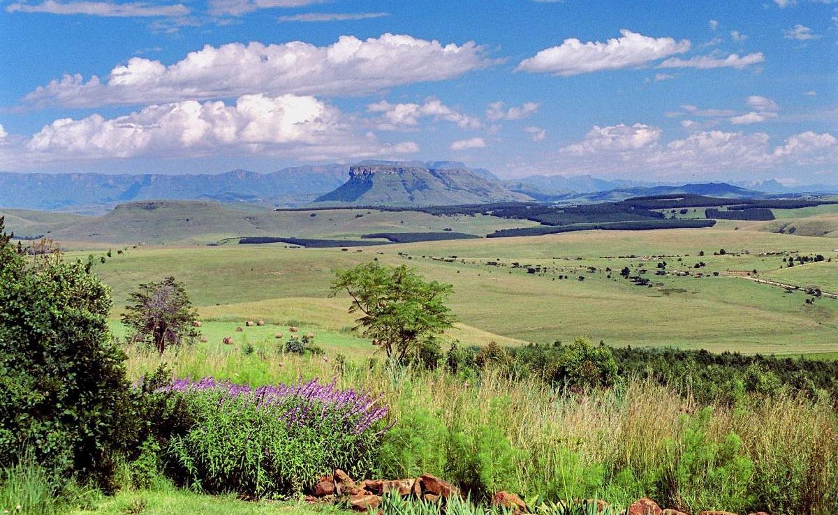 Blick auf die Drakensberg von der Antbear Lodge aus